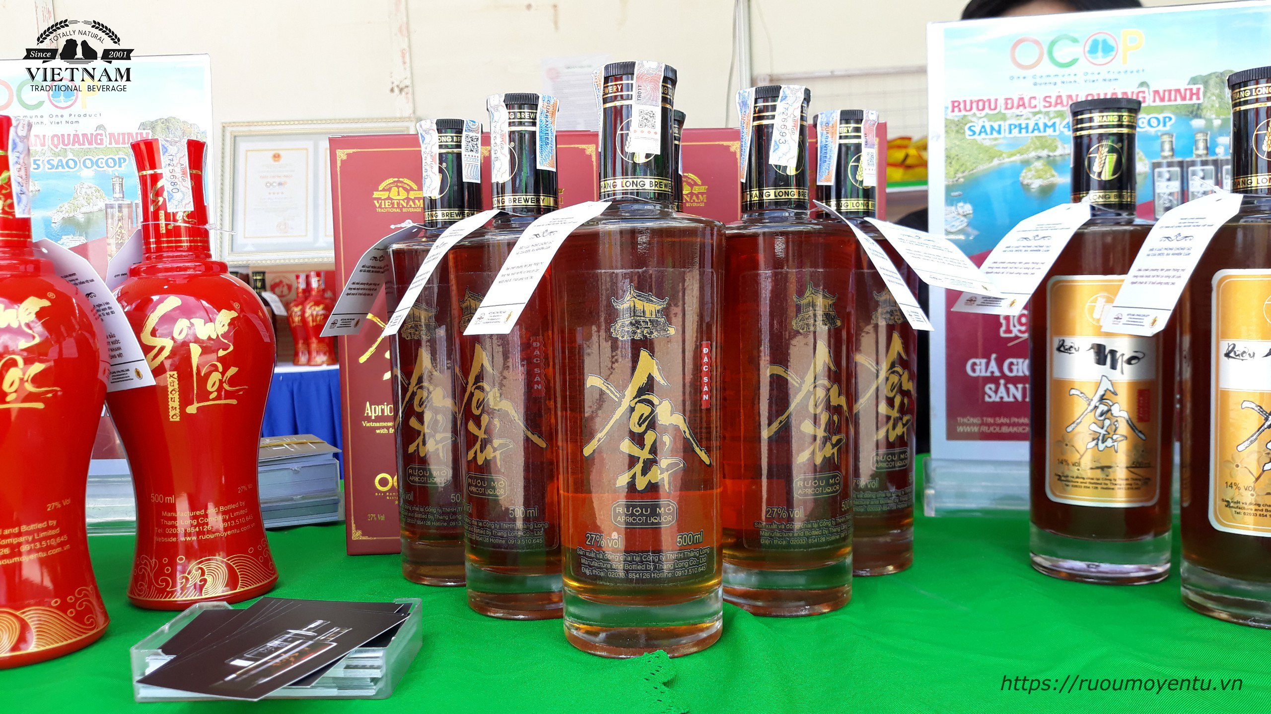 Rượu mơ Yên Tử – rượu đặc sản 5 sao OCOP – Đặc sản tiêu biểu của tỉnh Quảng Ninh