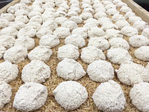 Bánh men 36 vị truyền thống dùng nấu rượu gạo men thuốc bắc thơm ngon